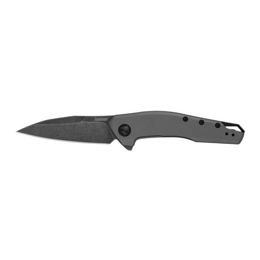 Kershaw Sanctum Framelock Assisted Opening Knife